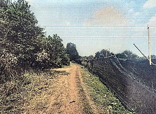 Agricultural Land in Ta Khmau, Kandal, photo 3