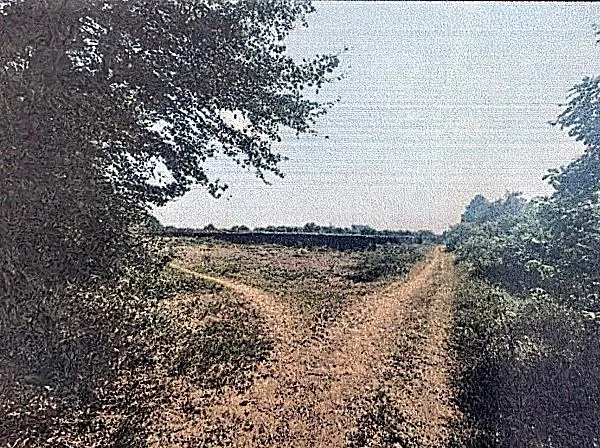 Agricultural Land in Ta Khmau, Kandal, photo 5