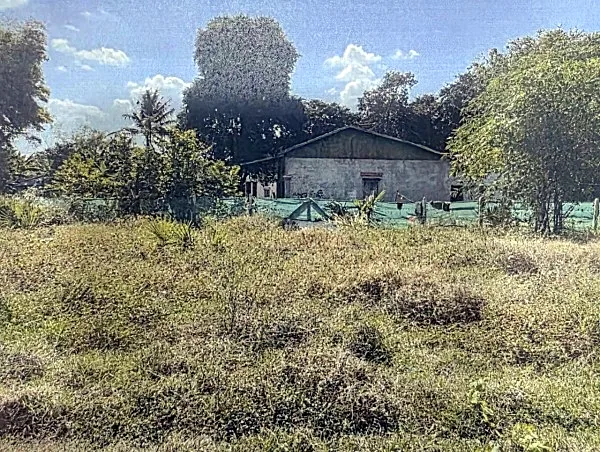 Development Land in Srok Angk Snuol, Kandal, photo 3