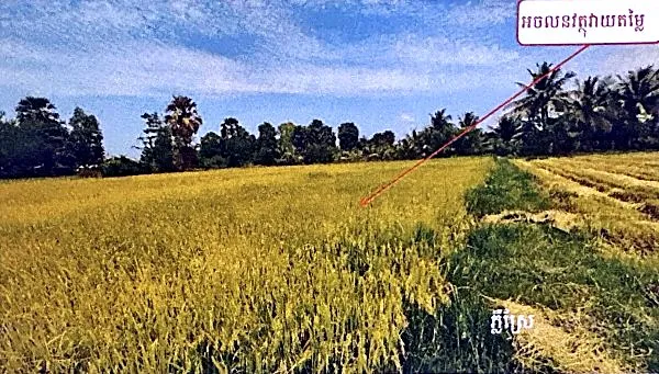 Agricultural Land in Damnak Chang'aeur, Kep, photo 2