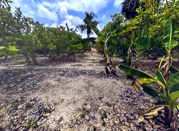 Land & House in Srok Anlong Veng, Oddar Meanchey, photo 6