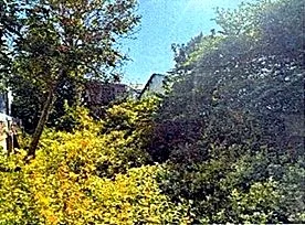 Residential Plot, 929 m² in Russey Keo, Phnom Penh, photo 4