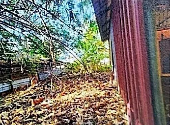 Land, 98 m² in Phnom Penh