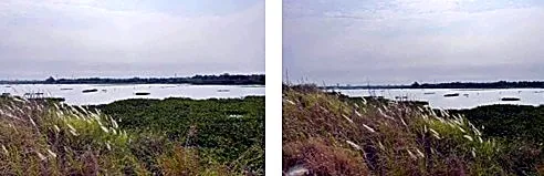 Agricultural Land, 10 m² in Dangkao, Phnom Penh, photo 2