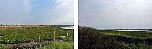 Agricultural Land, 10 m² in Dangkao, Phnom Penh, photo 3