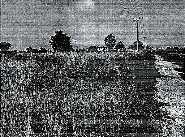 Vacant Land, 3931 m² in Dangkao, Phnom Penh, photo 2