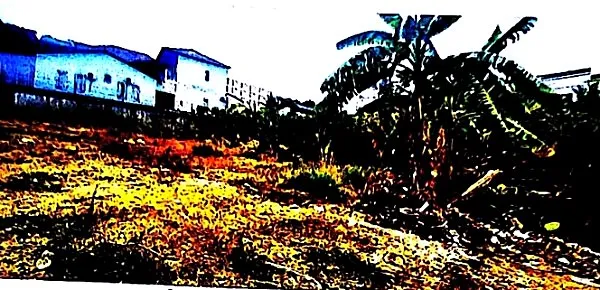 Construction Land in Sihanoukville, Preah Sihanouk, photo 2