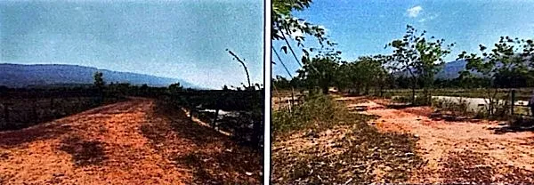 Vacant Land in Prey Nob, Preah Sihanouk, photo 2