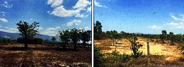 Vacant Land in Prey Nob, Preah Sihanouk, photo 4