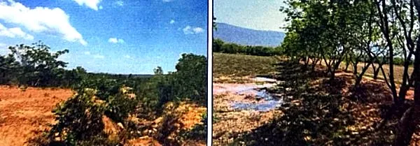 Vacant Land in Prey Nob, Preah Sihanouk, photo 5