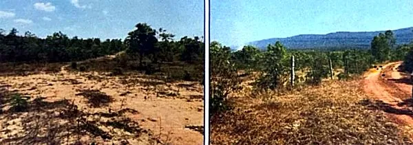 Vacant Land in Prey Nob, Preah Sihanouk, photo 7