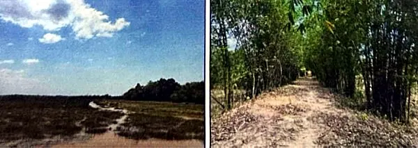 Vacant Land in Prey Nob, Preah Sihanouk, photo 8