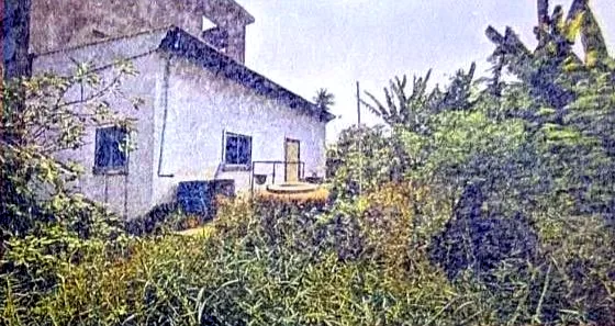 Land & House, 642 m2 in Srok Bakan, Pursat, photo 4