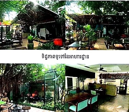 Land & Commercial Building, 461 m² in Krong Siem Reap, Siem Reap, photo 3