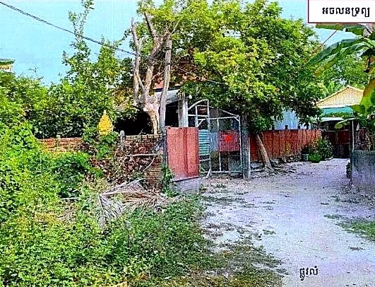 Land & House, 211 m² in Krong Siem Reap, Siem Reap, photo 3