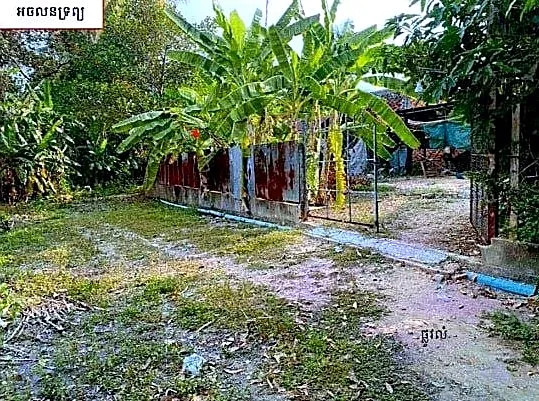Land & House, 211 m² in Krong Siem Reap, Siem Reap, photo 6