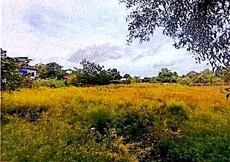 Vacant Land, 1173 m² in Krong Siem Reap, Siem Reap