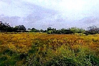Vacant Land, 1173 m² in Krong Siem Reap, Siem Reap, photo 2