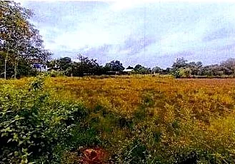 Vacant Land, 1173 m² in Krong Siem Reap, Siem Reap, photo 3