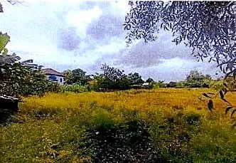 Vacant Land, 1173 m² in Krong Siem Reap, Siem Reap, photo 5