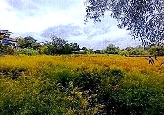 Vacant Land, 1173 m² in Krong Siem Reap, Siem Reap, photo 7