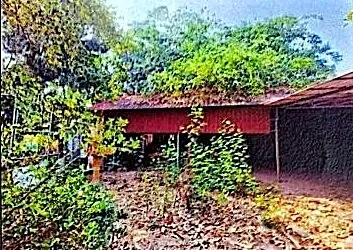 Land & Warehouse, 197 m² in Krong Siem Reap, Siem Reap, photo 2