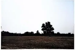 Land, 95 m2 in Srok Prasat Bakong, Siem Reap, photo 4