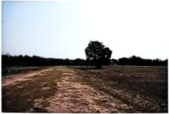 Land, 95 m2 in Srok Prasat Bakong, Siem Reap, photo 5
