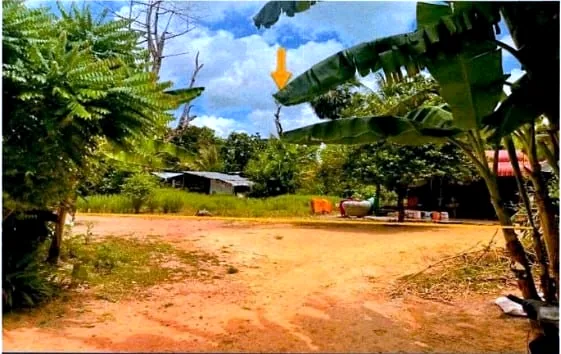 Land (Multiple Plots) in Srok Kralanh, Siem Reap, photo 3