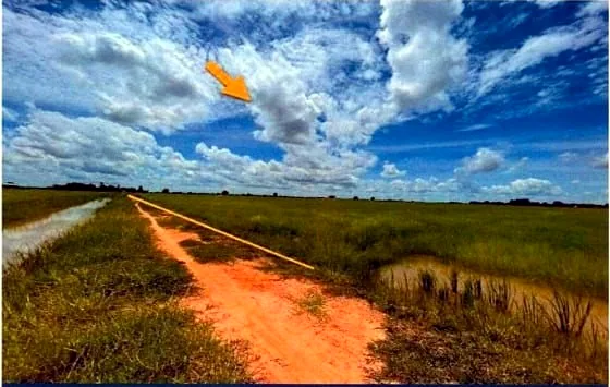 Land (Multiple Plots) in Srok Kralanh, Siem Reap, photo 5
