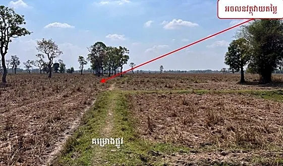 Agricultural Land in Romeas Haek, Svay Rieng