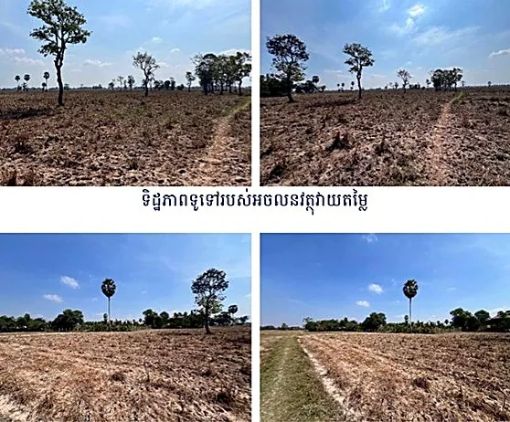 Agricultural Land in Romeas Haek, Svay Rieng, photo 2