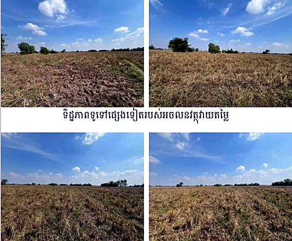 Agricultural Land in Romeas Haek, Svay Rieng, photo 5