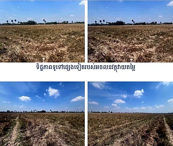 Agricultural Land in Romeas Haek, Svay Rieng, photo 6