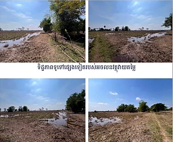 Agricultural Land in Romeas Haek, Svay Rieng, photo 7