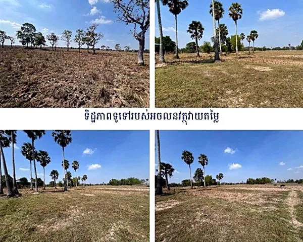 Agricultural Land in Romeas Haek, Svay Rieng, photo 8