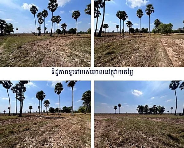Agricultural Land in Romeas Haek, Svay Rieng, photo 9