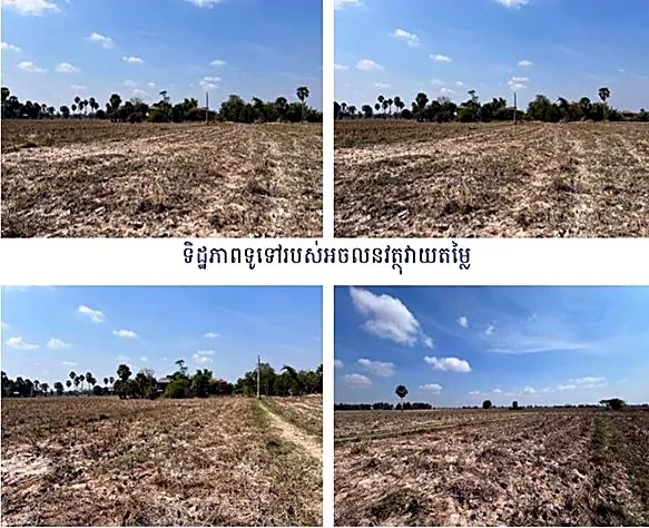 Agricultural Land in Romeas Haek, Svay Rieng, photo 10