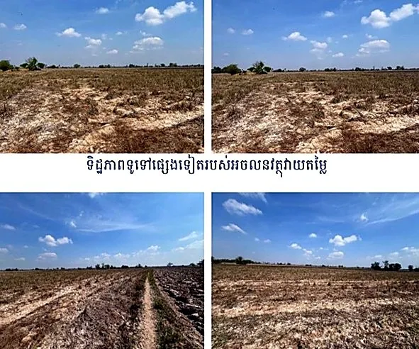 Agricultural Land in Romeas Haek, Svay Rieng, photo 11